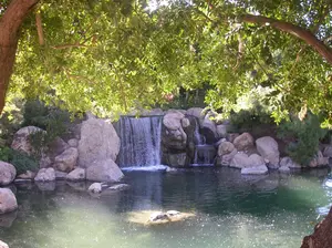 General Reiki FAQs and answers to questions about being healthy, disease, and a simple definition of spirituality.