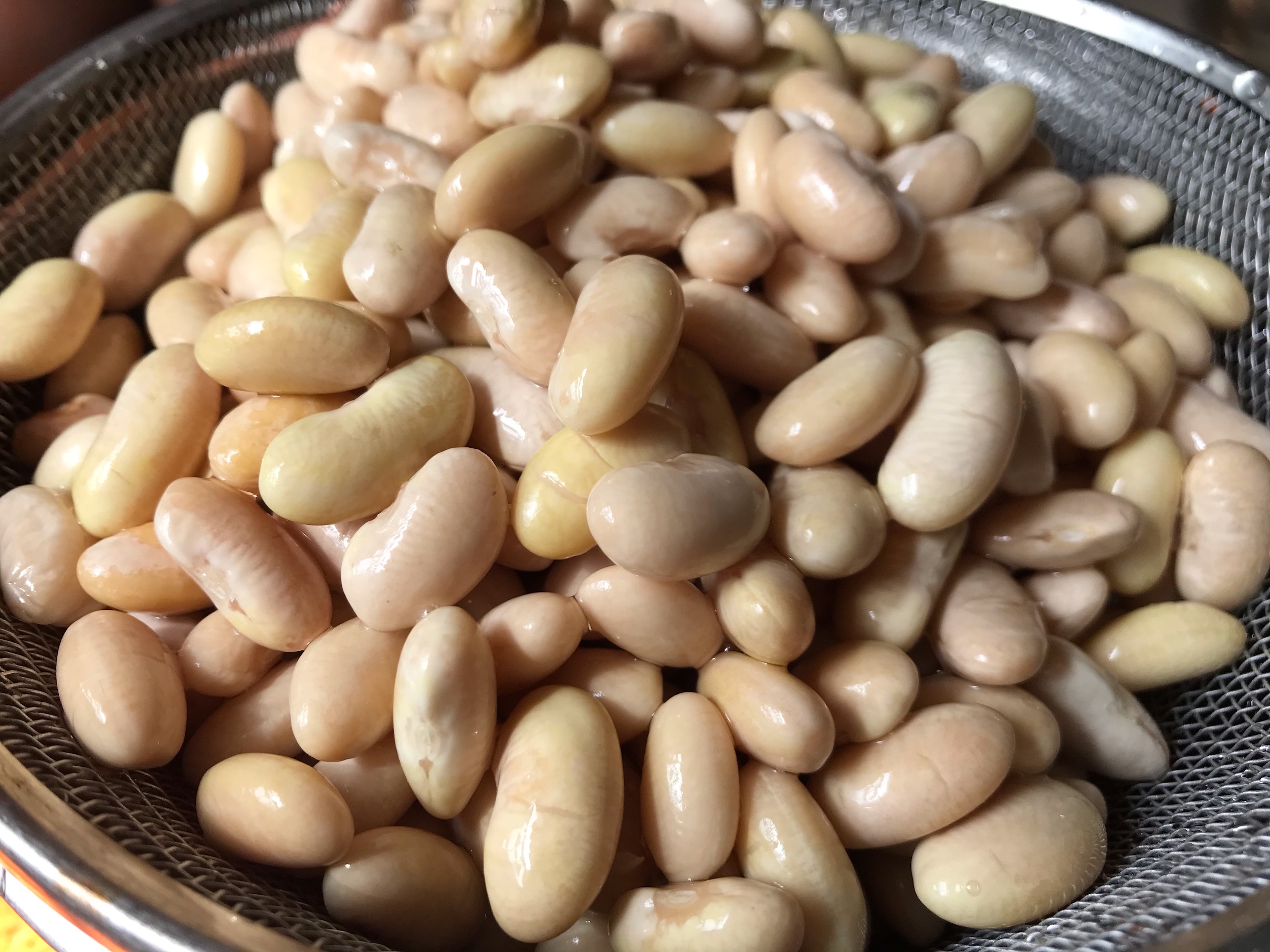 Beans, Northern White