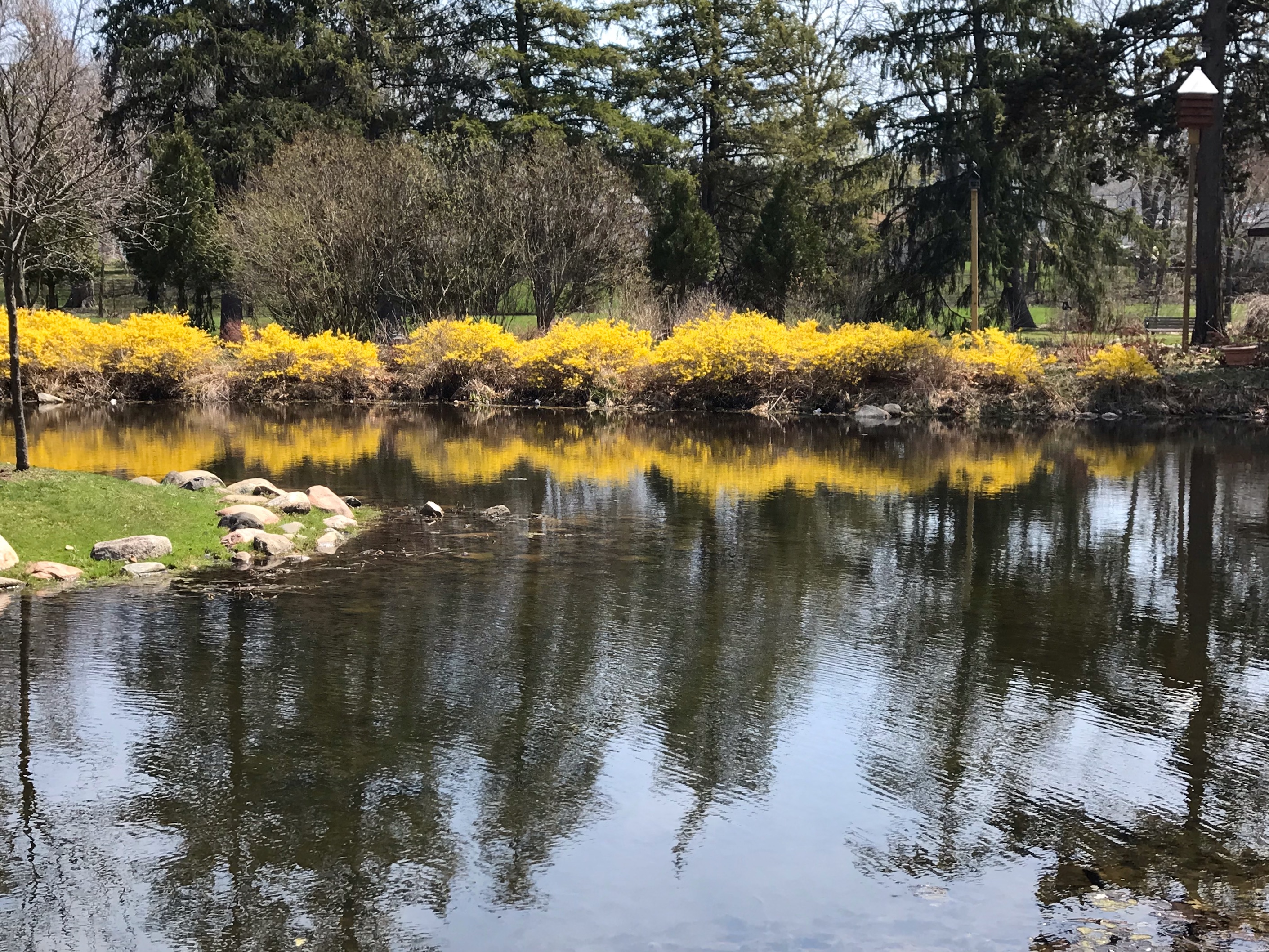 Pond at Mrs. Stokes Park in Hillsdale, MI