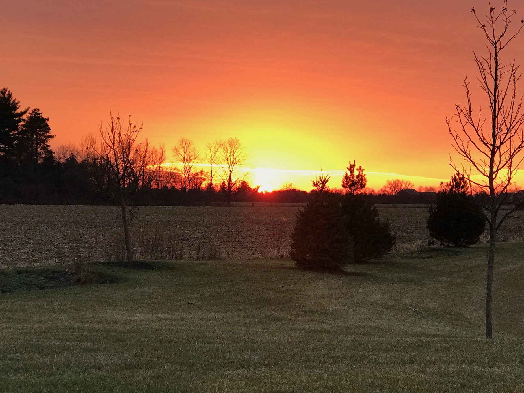 Sunset, Sylvania, OH Sunset, Sylvania, OH