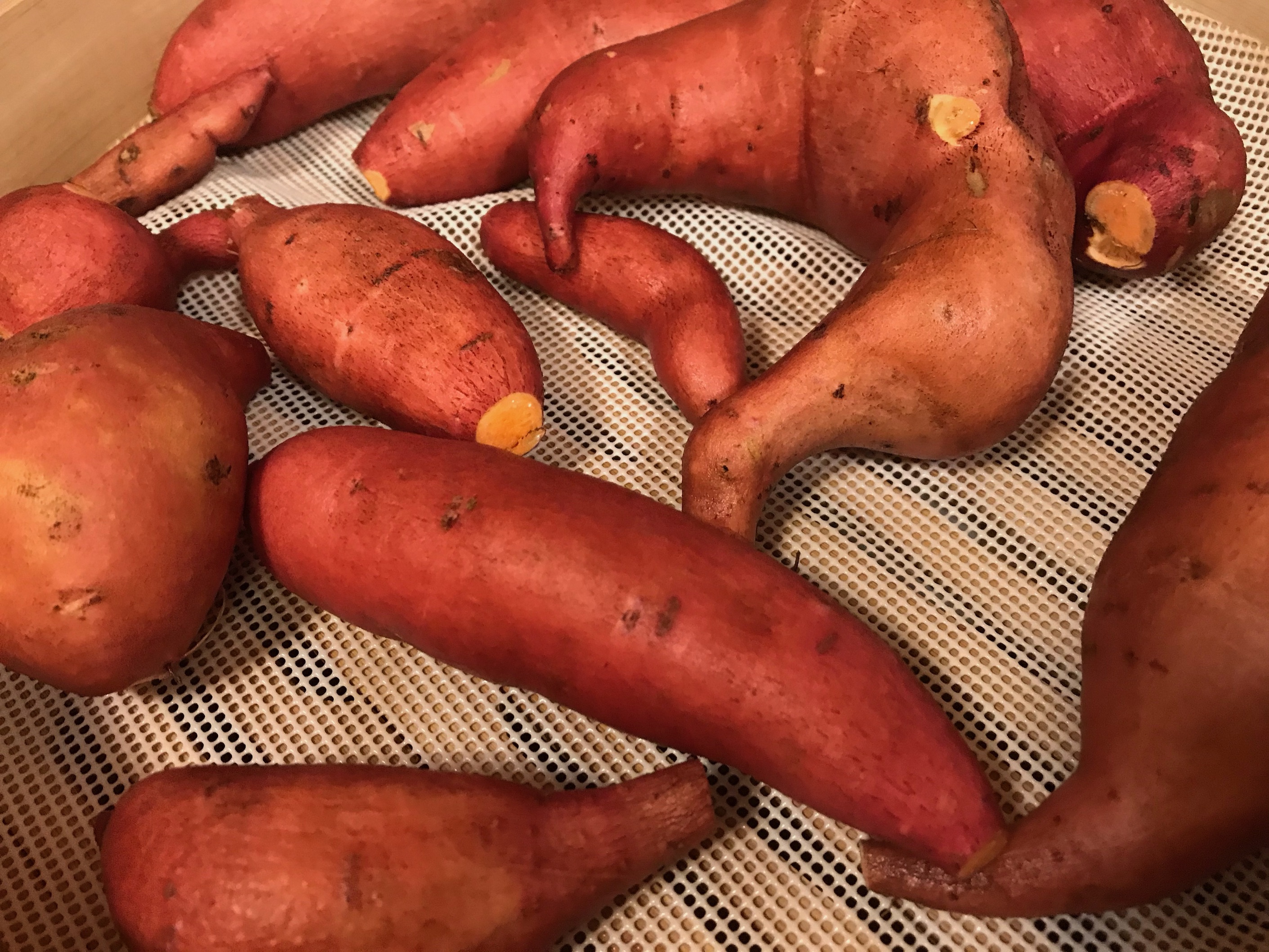 Sweet Potatoes from the garden Sweet Potatoes from the garden