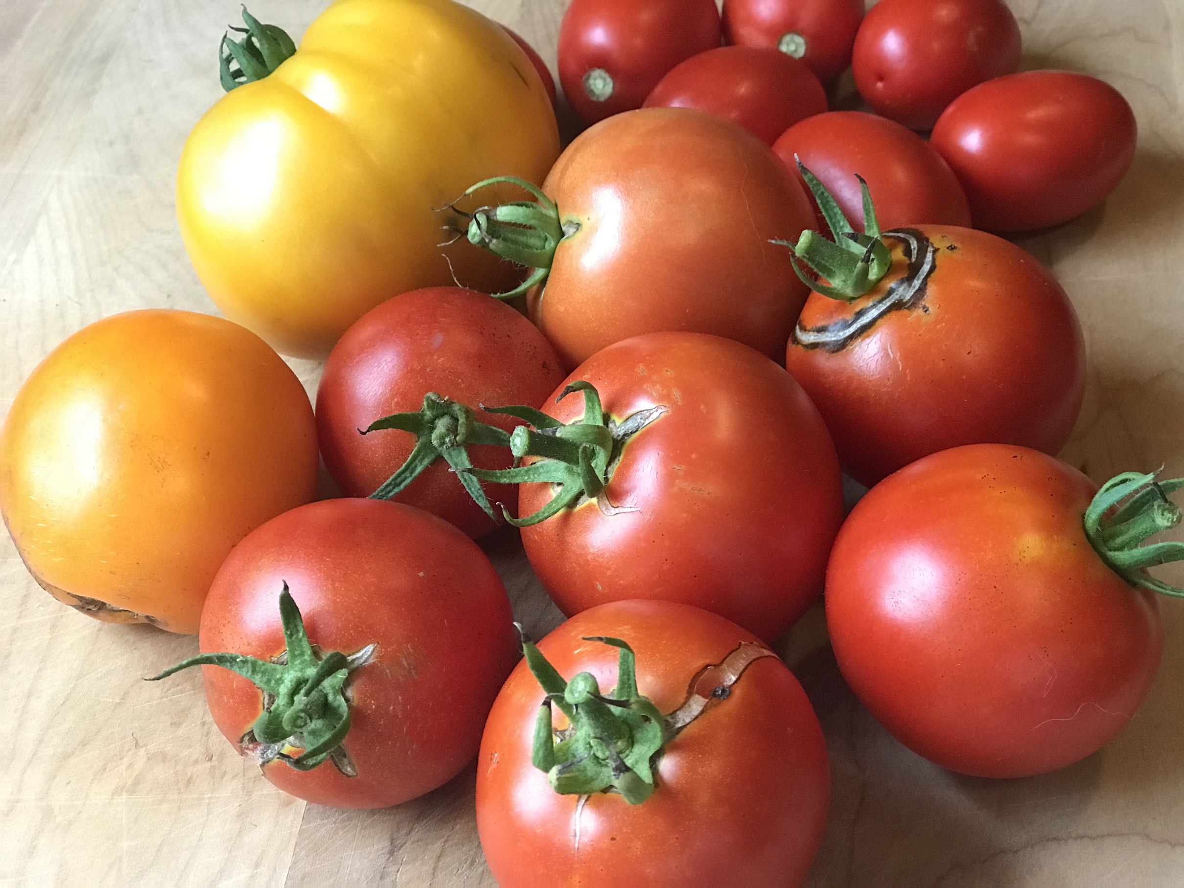 Tomatoes from the garden2 Tomatoes from the garden2