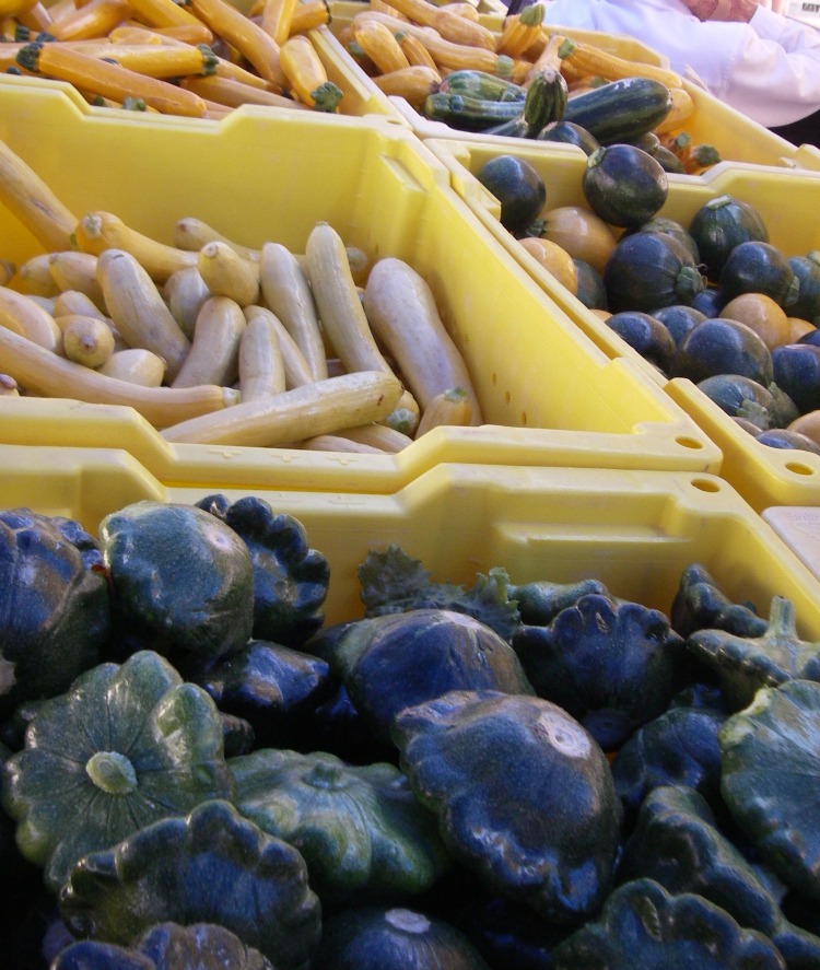 Zucchini farmers market Zucchini farmers market