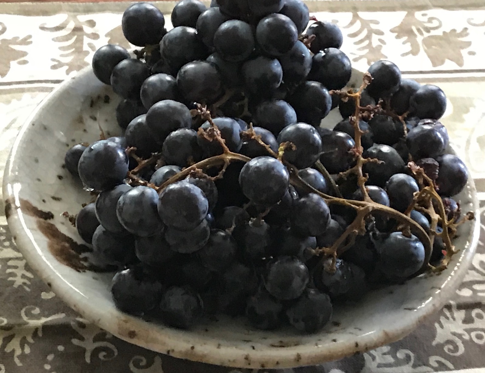Plate of deep purple grapes Plate of deep purple grapes