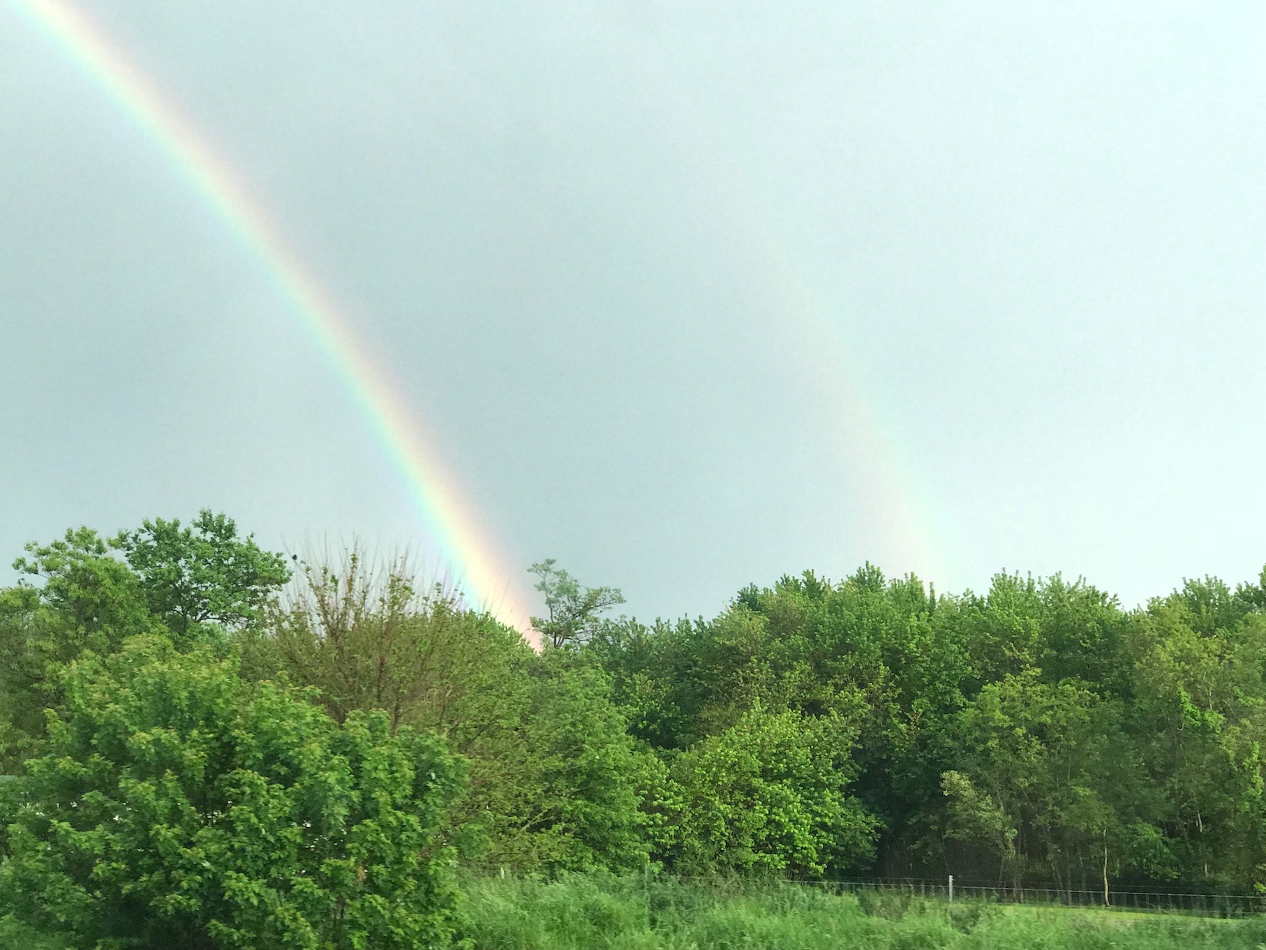 Double Rainbow Double Rainbow